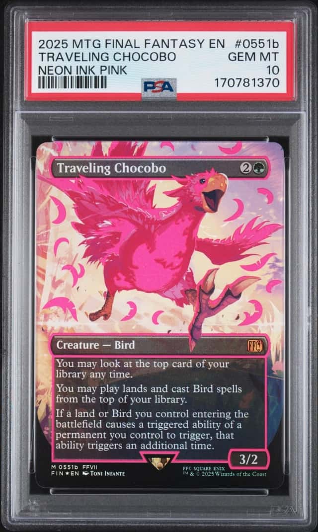 Traveling Chocobo
