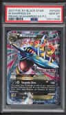 M Sharpedo Ex