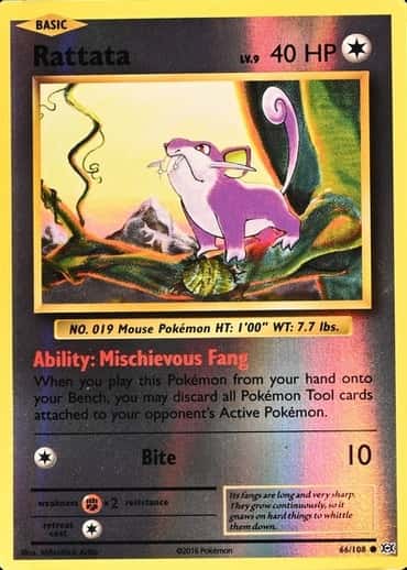 Reverse Holo