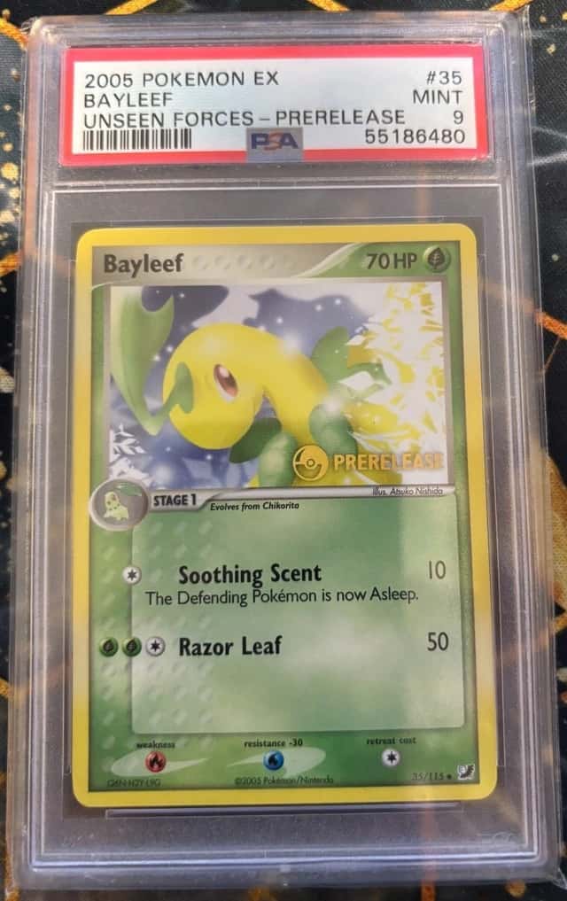 Bayleef