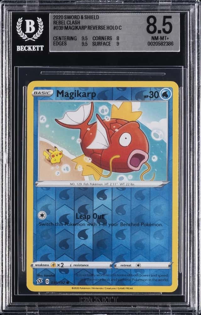 Magikarp