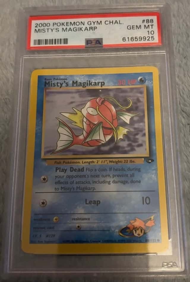 Misty's Magikarp