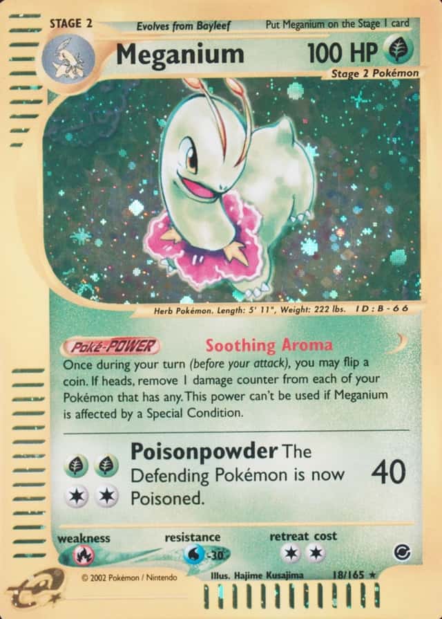 Holo