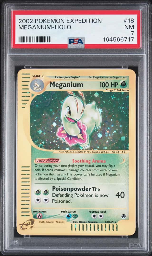 Meganium
