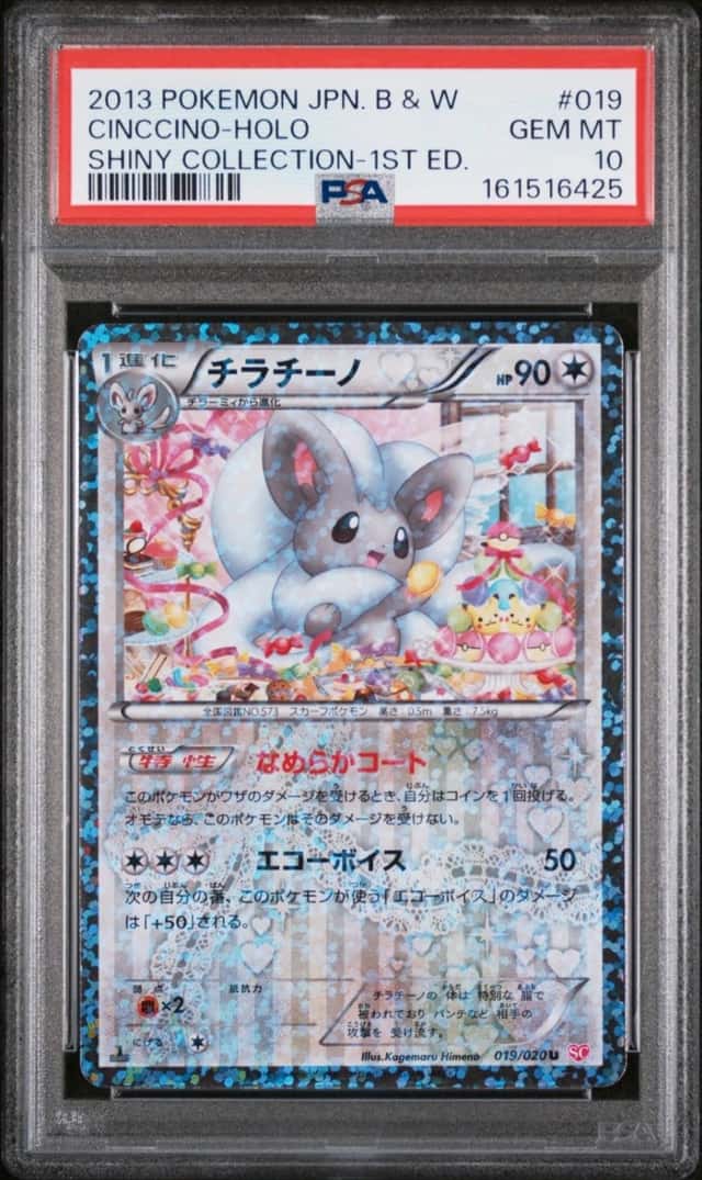 Cinccino