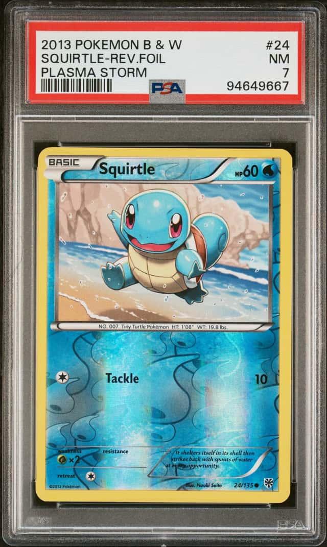 Squirtle