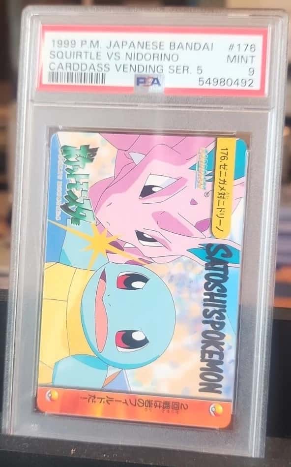 Squirtle Vs Nidorino