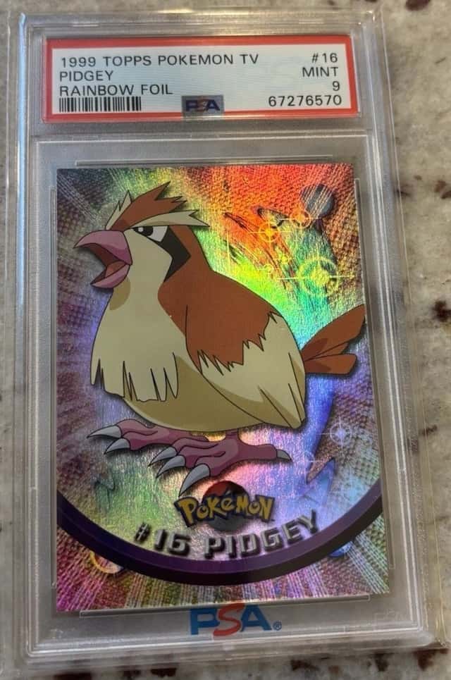 Pidgey