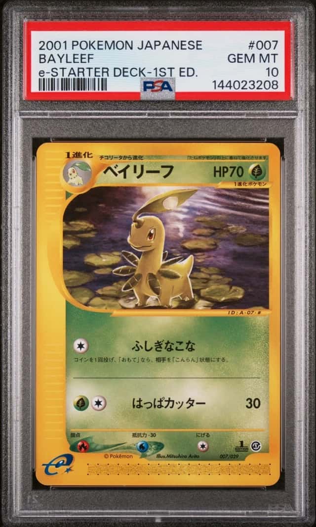Bayleef