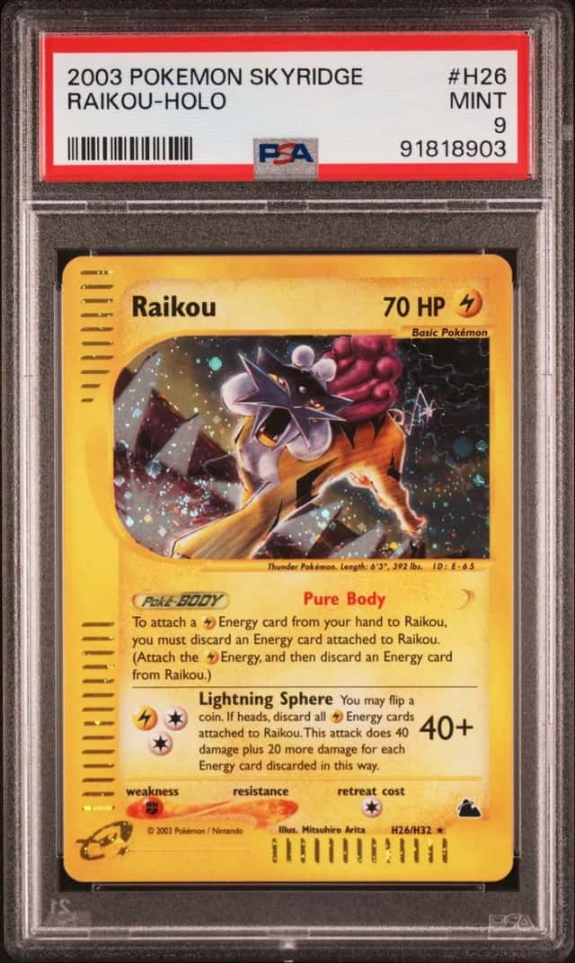 Raikou