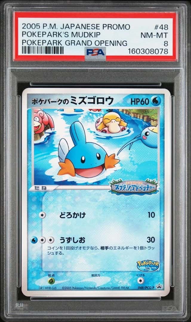 Pokepark's Mudkip