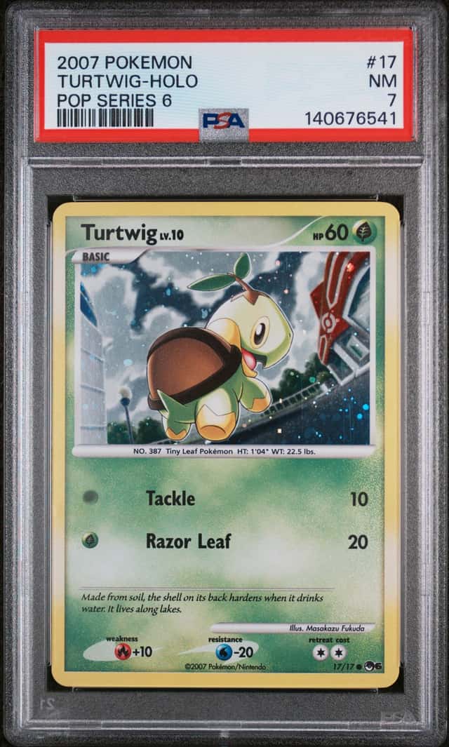 Turtwig
