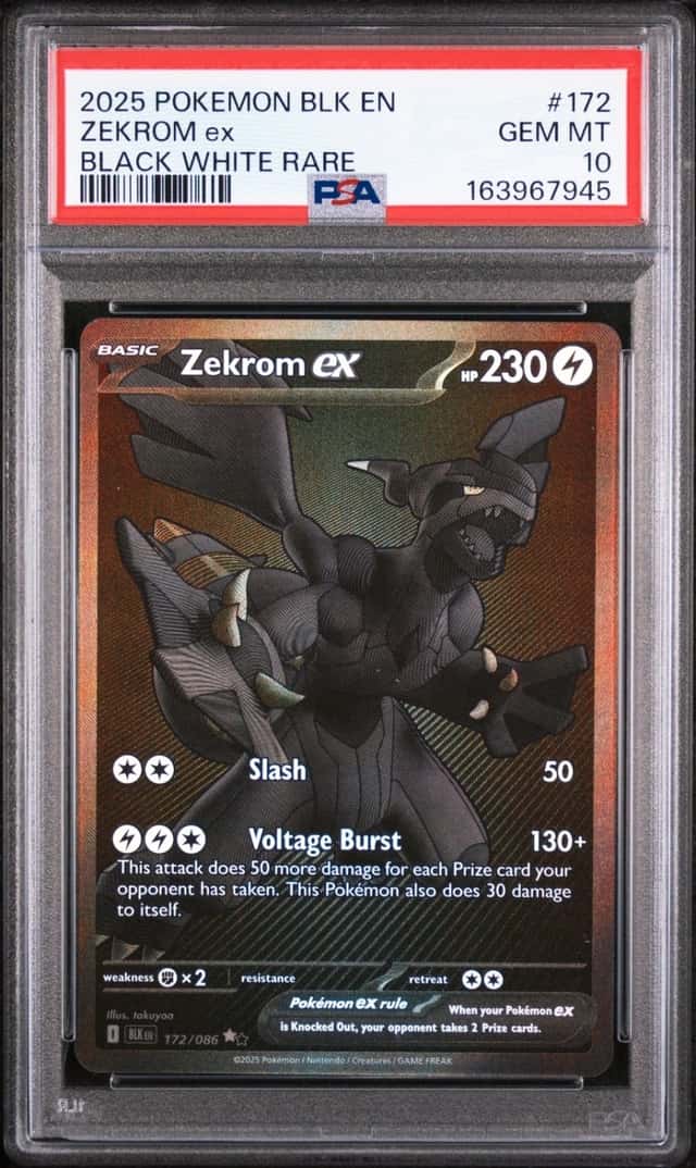 ZEKROM ex