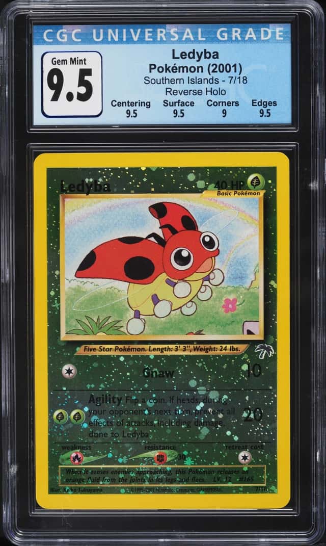 Ledyba