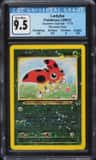 Ledyba