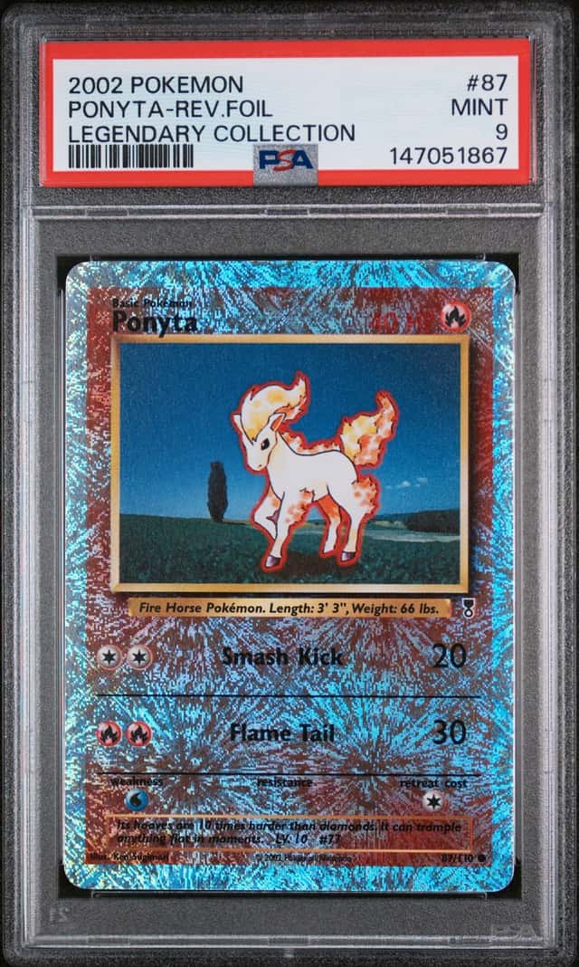 Ponyta