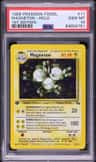 Magneton