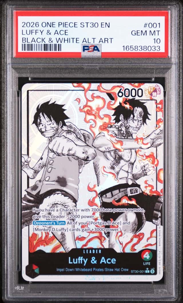 Luffy & Ace