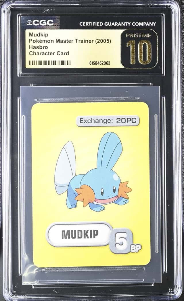 Mudkip