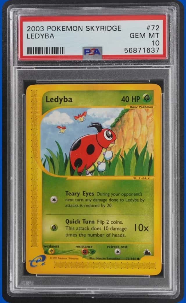 Ledyba