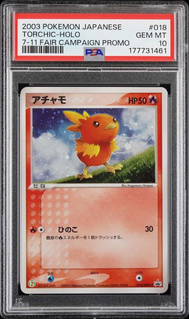 Torchic