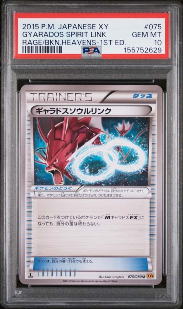 Gyarados Spirit Link