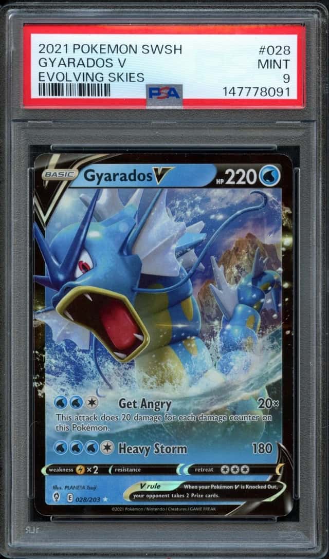 Gyarados V