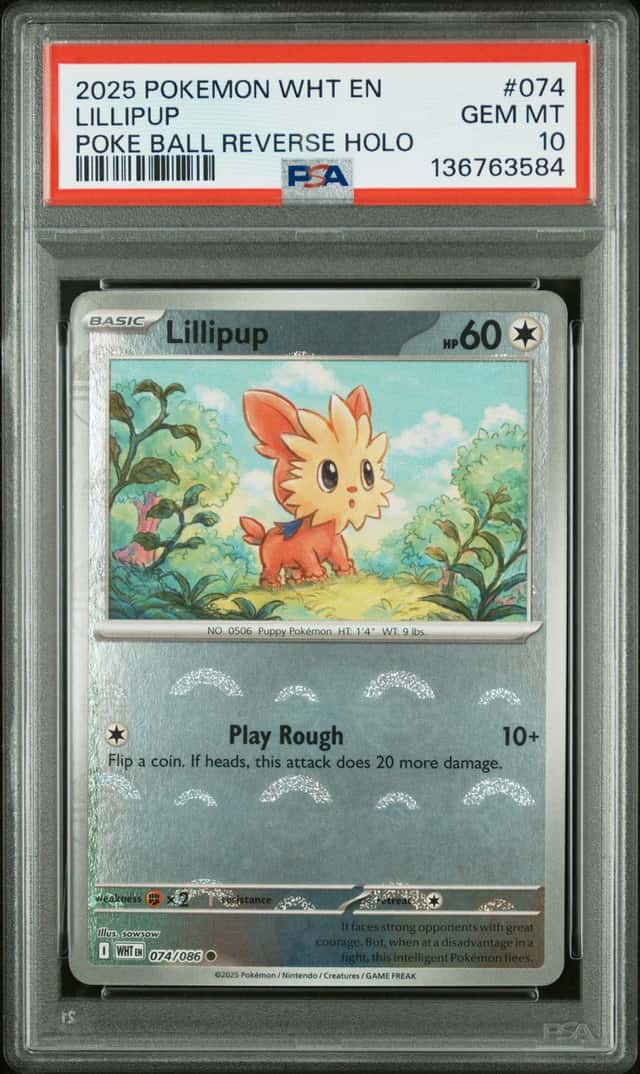 Lillipup