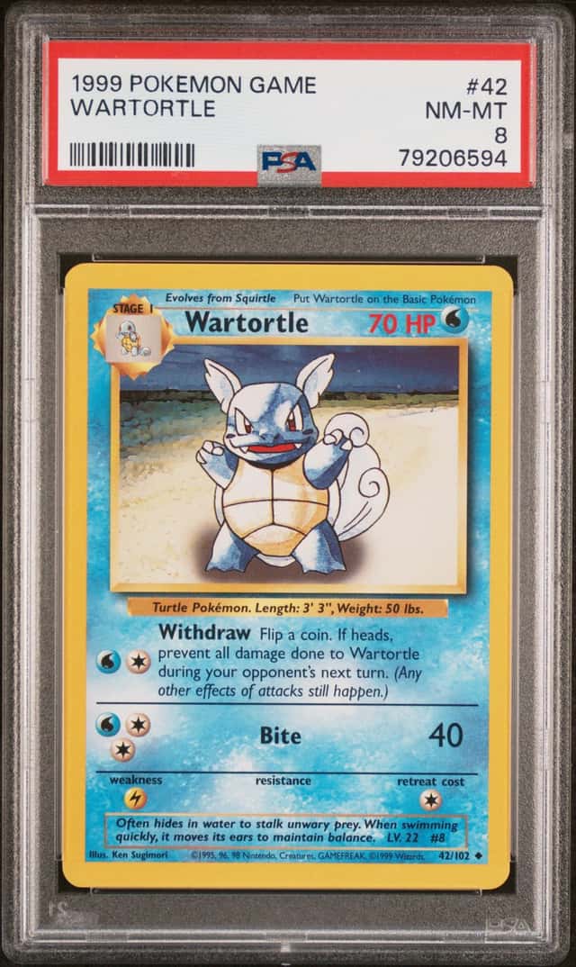 Wartortle