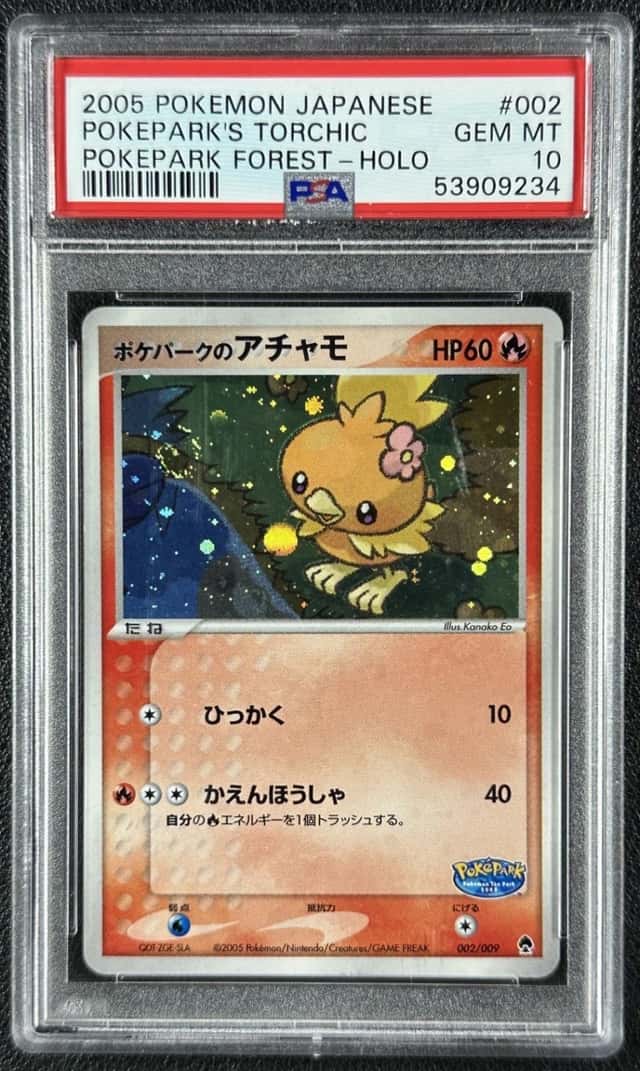 Pokepark's Torchic