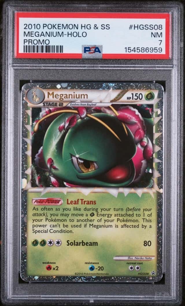 Meganium