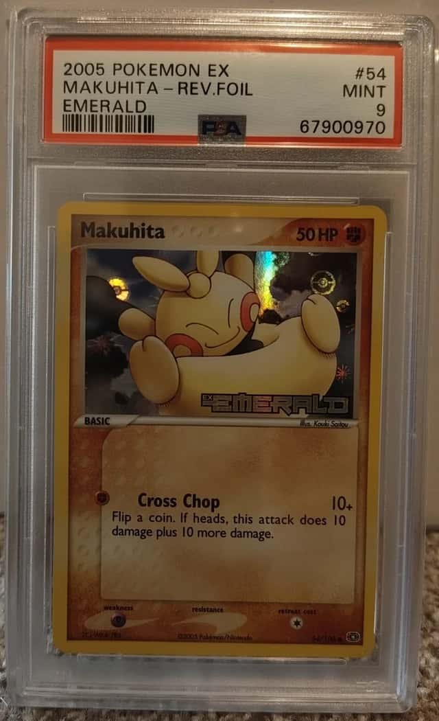 Makuhita