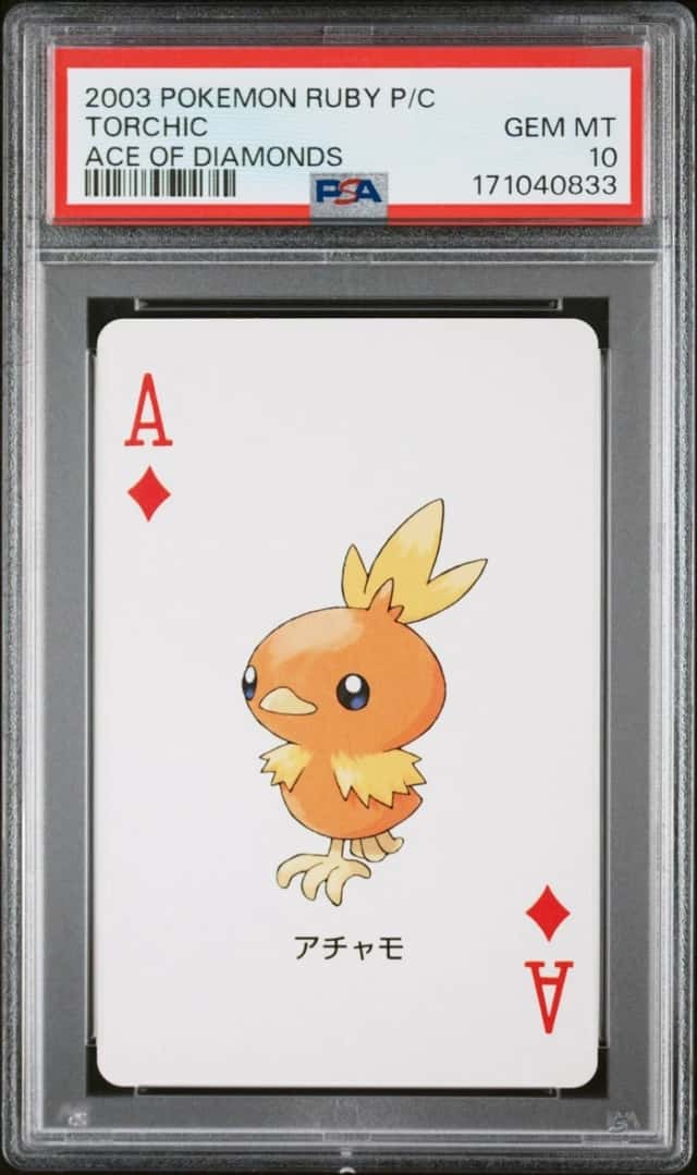 Torchic
