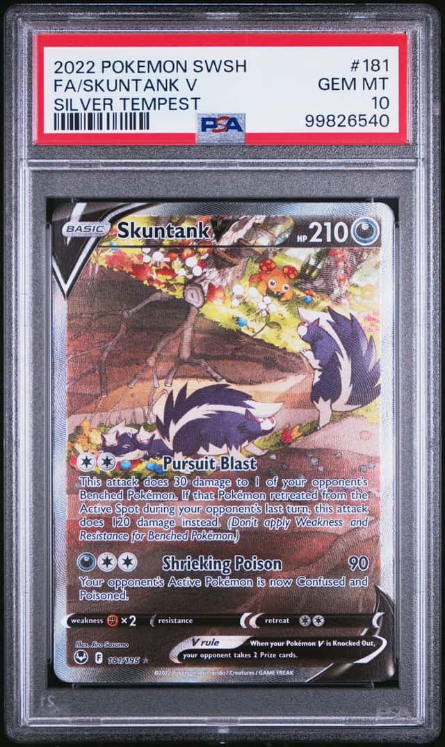 Skuntank V