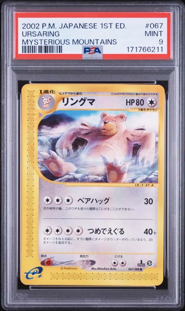 Ursaring