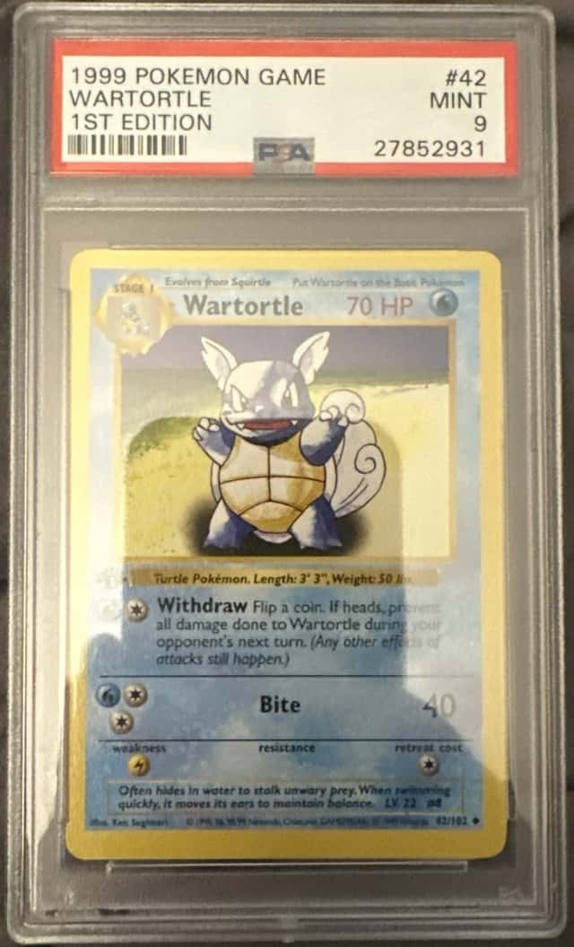 Wartortle