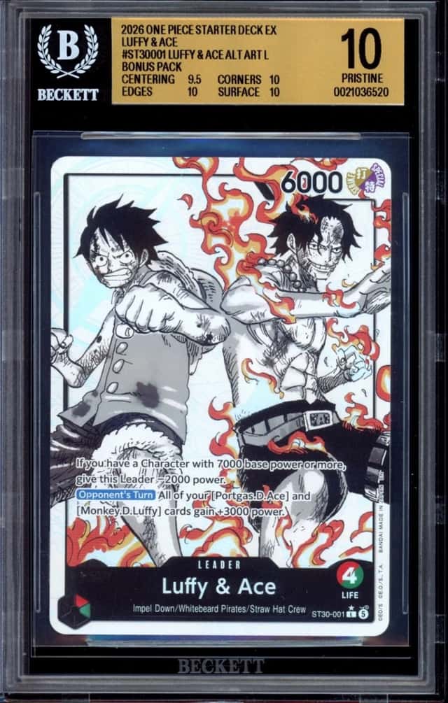Luffy & Ace