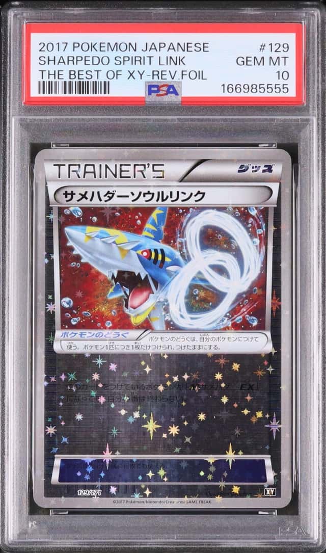 Sharpedo Spirit Link