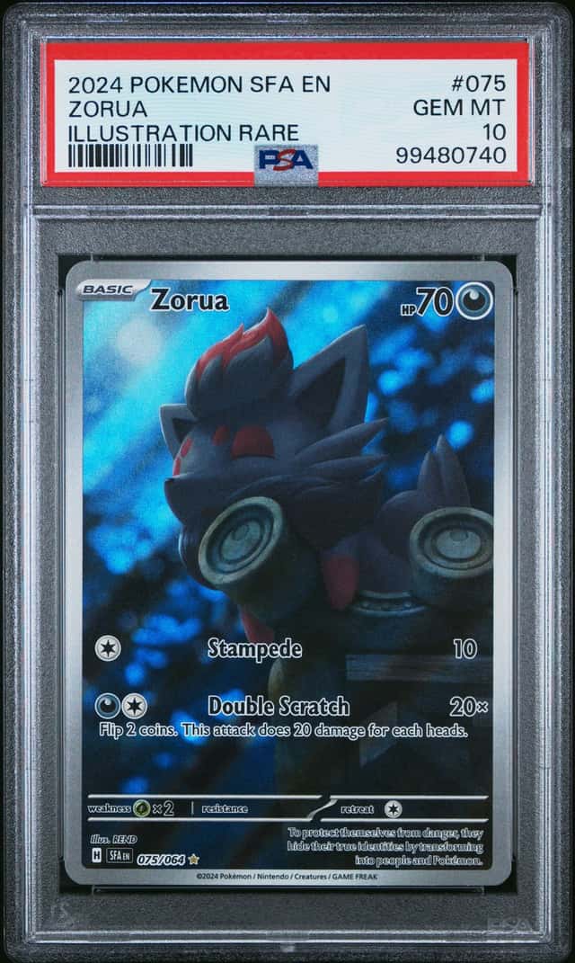 Zorua