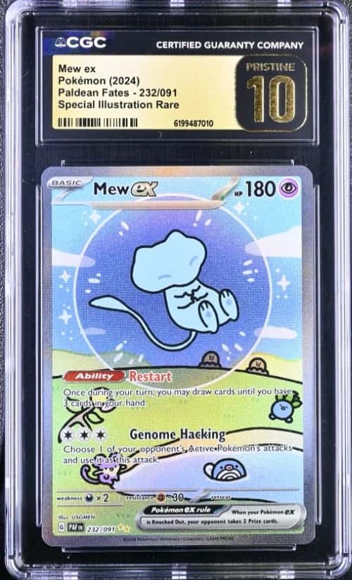MEW ex