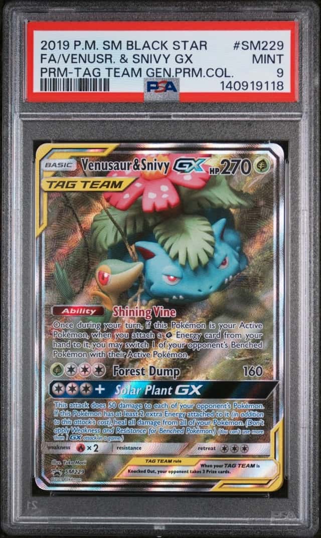 Venusaur & Snivy GX