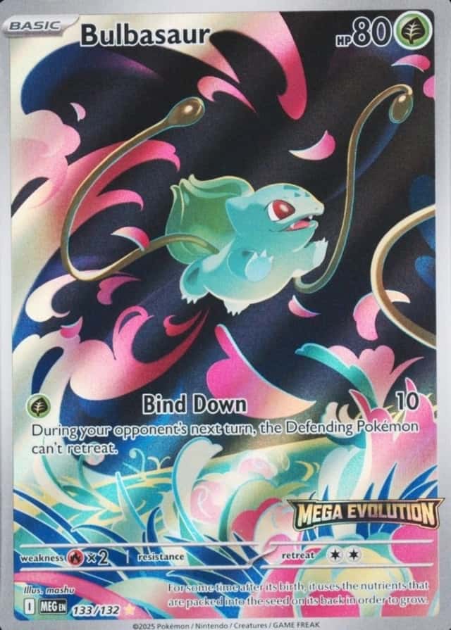 Box Topper