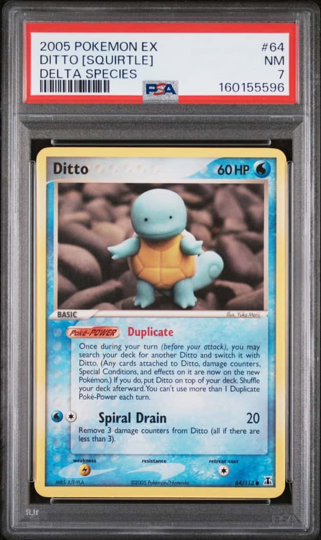 Ditto [Squirtle]