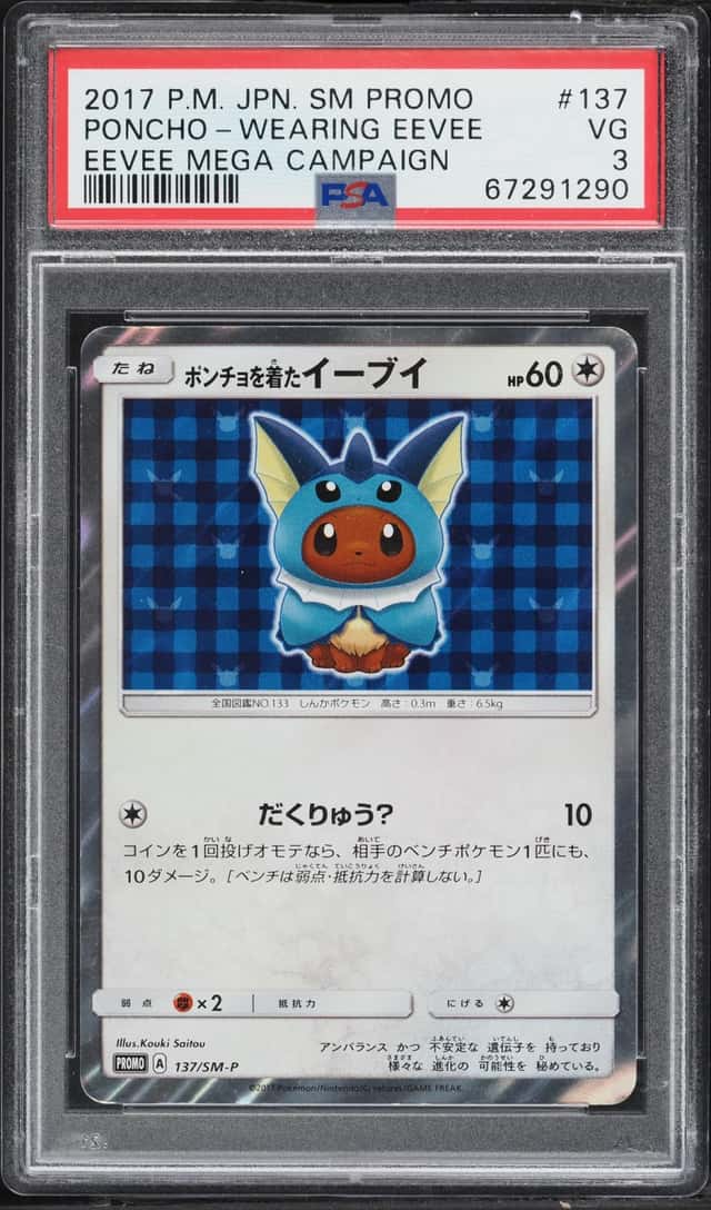 Poncho-wearing Eevee
