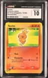 Torchic