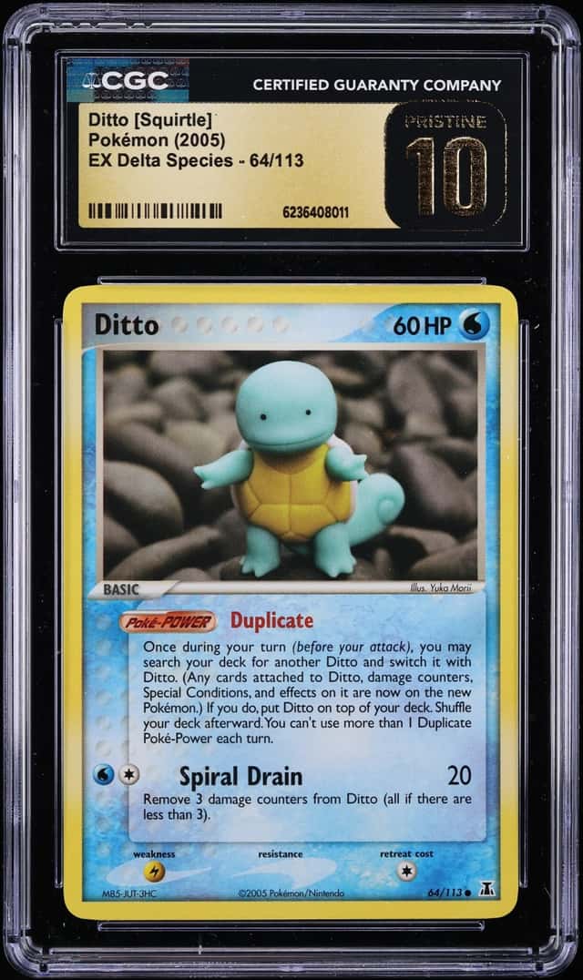 Ditto [Squirtle]