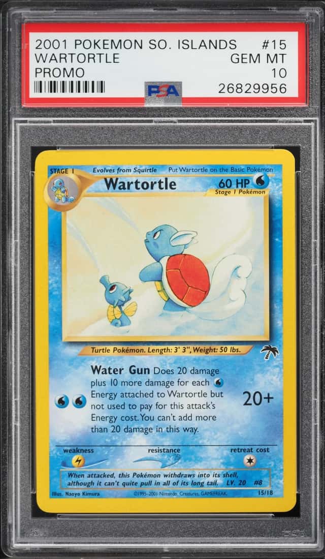 Wartortle