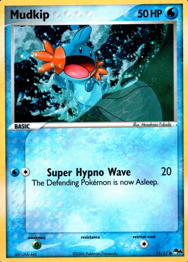 Holo