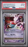 Mewtwo Lv X