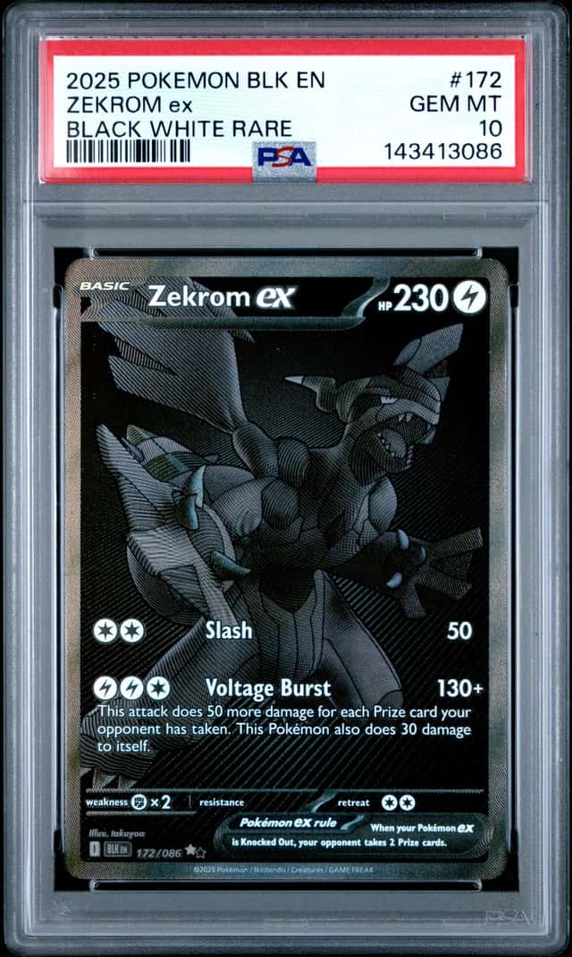 ZEKROM ex